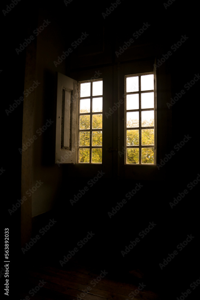 Green Trees through old wooden window