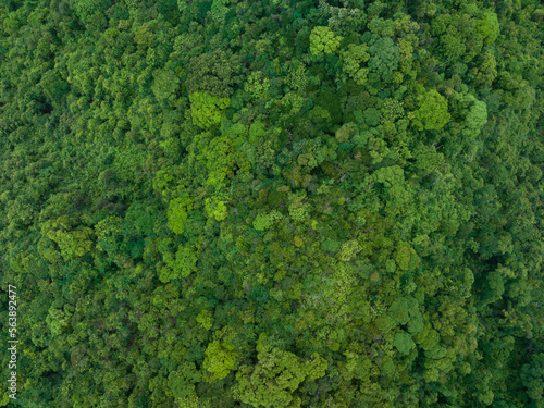 Fototapeta Naklejka Na Ścianę i Meble -  Aerial view of beautiful tropical forest mountain landscape