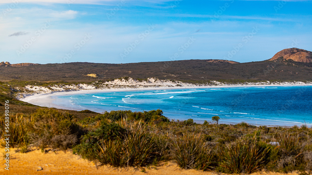 panorama of lucky bay beach in cape le grand national park, a paradisiacal beach with white sand and turquoise water surrounded by mighty hills