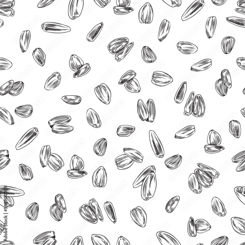 Seamless pattern with hand drawn sunflower seeds sketch style Seamless pattern with hand drawn sunflower seeds sketch style