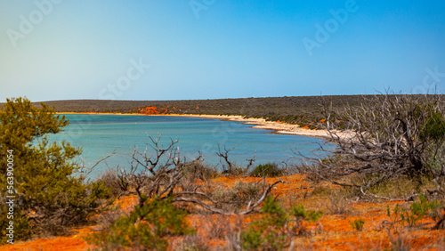 Fototapeta Naklejka Na Ścianę i Meble -  panorama of shark bay in francois peron national park near monkey mia in western australia; red cliffs over the ocean in the australian outback