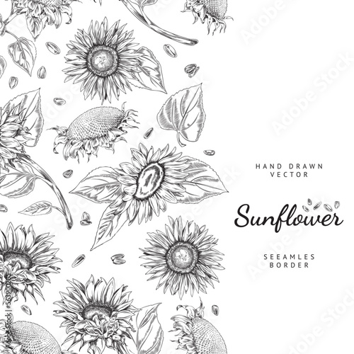 Seamless hand drawn border with sunflowers engraving vector illustration isolated.