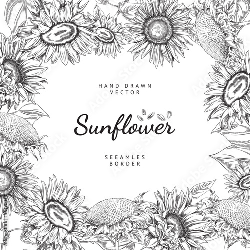 Hand drawn monochrome decorative frame with sunflowers sketch style