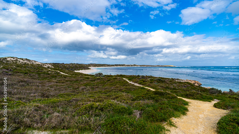 a panorama of paradise bay on rottnest island near perth in western australia; the beautiful bays and wild landscape of the island famous for its quokka