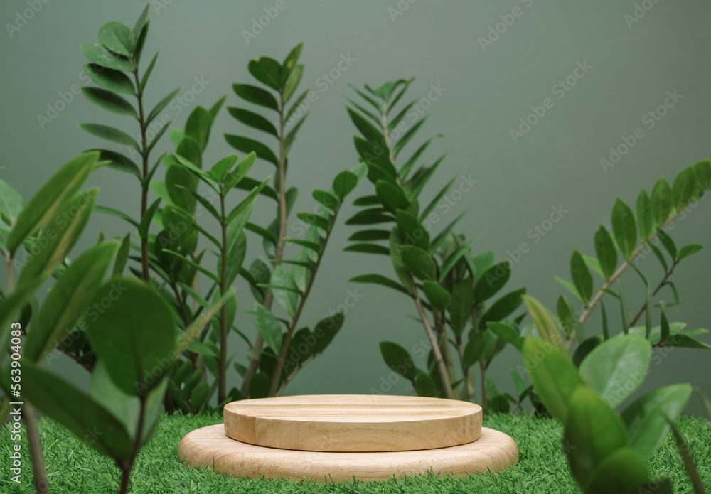 empty table top wood counter podium on grass tropic forest jungle plant blurred dark green background.natural product present placement pedestal promotion display,spring or summer minimal advertising.