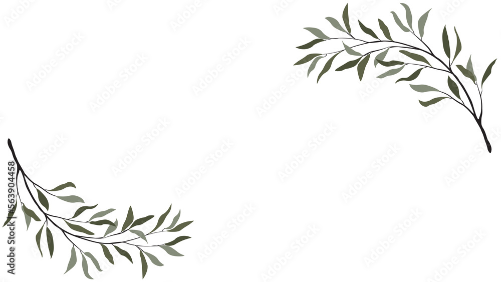 Olive Set of leaves on PNG White transparent background wallpaper Cover. Stock vector illustration Olive Set of leaves on PNG White transparent background wallpaper Cover. Stock vector illustration