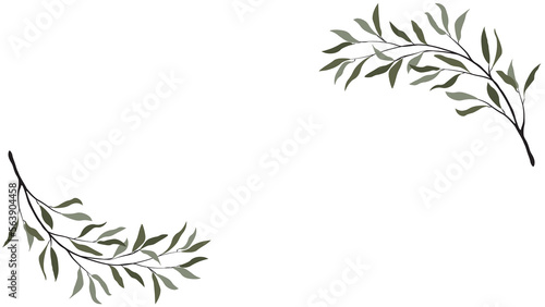 Olive Set of leaves on PNG White transparent background wallpaper Cover. Stock vector illustration 