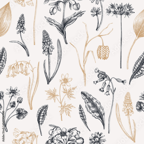 Hand-drawn wildflowers background in color. Vintage woodland plant sketches. Seamless spring floral pattern. Wild flowers illustration cowslip, bluebell, grape hyacinth, hellebore, fritillary backdrop