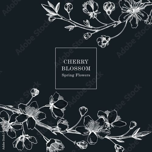 Cherry blossom card or invitation design. Flowering branch with flowers and leaves illustration. Black contoured sakura drawing. Botanical vector template with spring tree on chalkboard