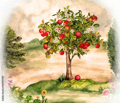 Watercolor landscape with apple tree and flowers.
Nature illustration.