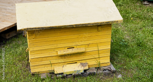 yellow wooden beehive in the apiary. Breeding bees and extracting honey.