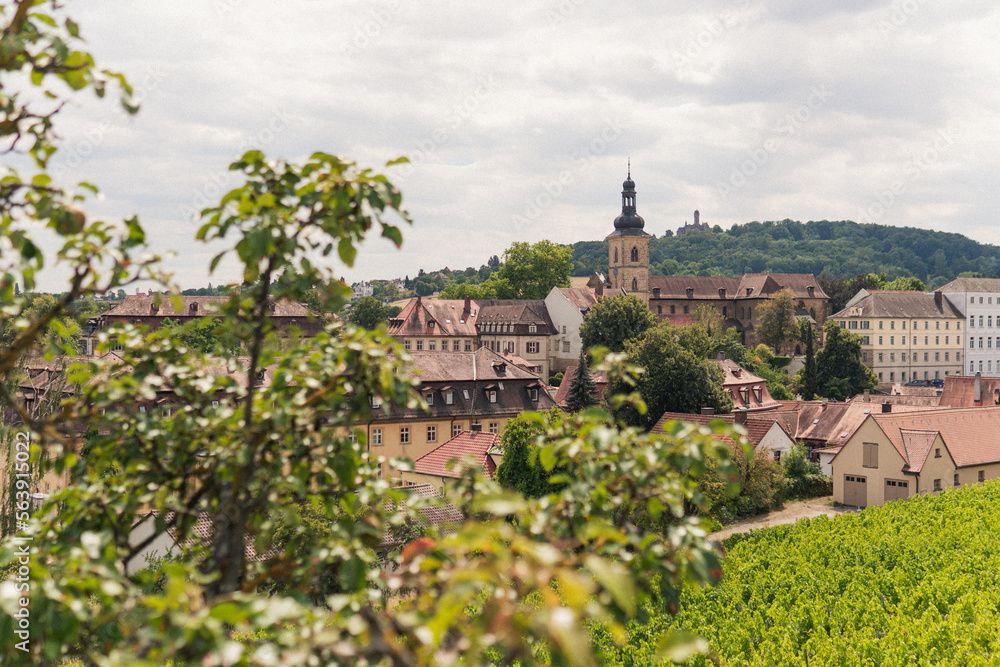 view of the old town in summer in germany