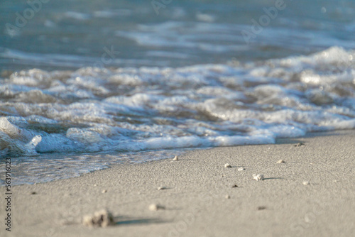 Wallpaper Mural 波打ち際　海　砂浜 Torontodigital.ca