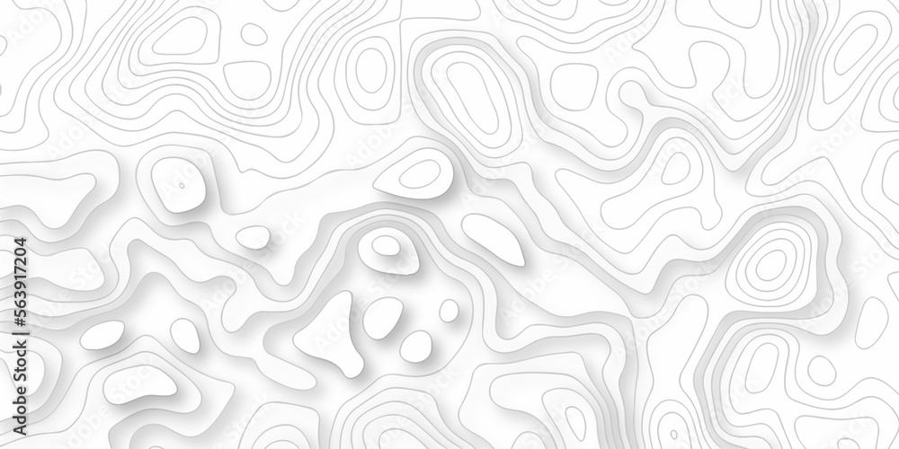 Topographic map. Geographic mountain relief. Abstract lines background. Contour maps. Vector illustration, Topo contour map on white background, Topographic contour lines vector map seamless pattern.