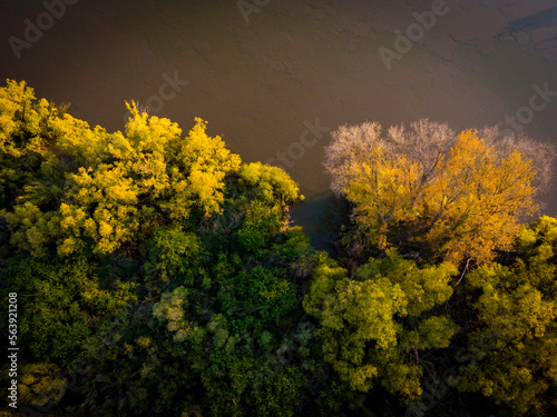 Treeline along a river. Aerial view