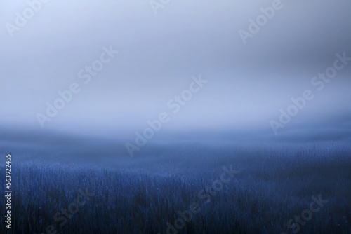 fog in the field background,dark blue