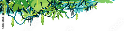 Decorative dense leaves of tropical trees with lianas placed on top isolated, decorative composition of jungle plants on one side, dense vegetation of the jungle, topical forest plants
