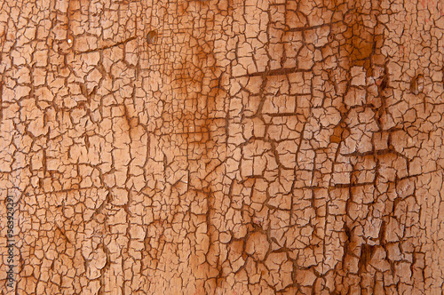 Background from wooden old boards with cracked paint. Vintage green fence texture as abstract background. Craquelure cracks.