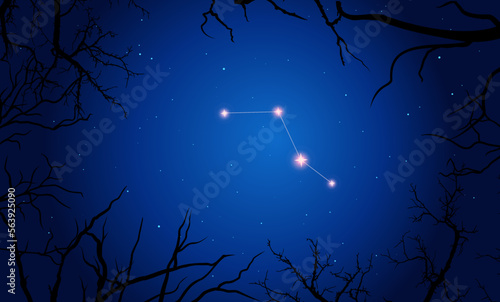 Illustration  of Caelum constellation. Bright constellation in open space, blue sky. Starry sky behind tree silhouette photo