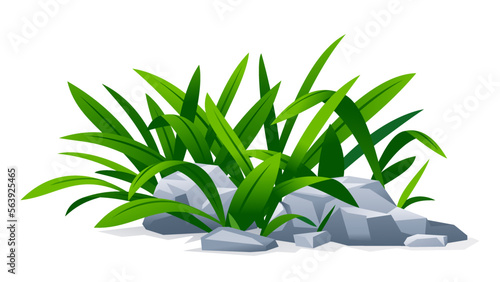 Grass with green long leaves grow around stones in landscape design, detailed green plants on ground isolated illustration, decorative plant composition on ground, dense vegetation in garden