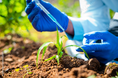 Картината върху платно close up shot of agro scientist hands at laboratory adding chemical to small lab