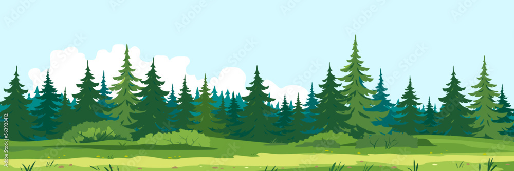 Fototapeta premium Path along spruce forest with big green trees, tourist route near the dense spruce forest and bushes in summer sunny day nature illustration background