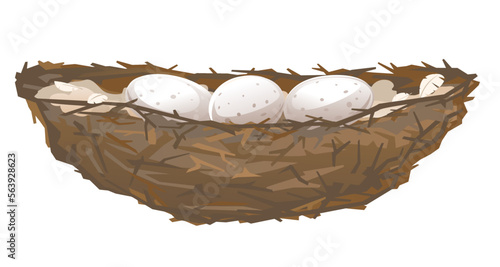 One brown bird nest with three eggs in side view from small branches isolated, small nest of thin branches and feathers