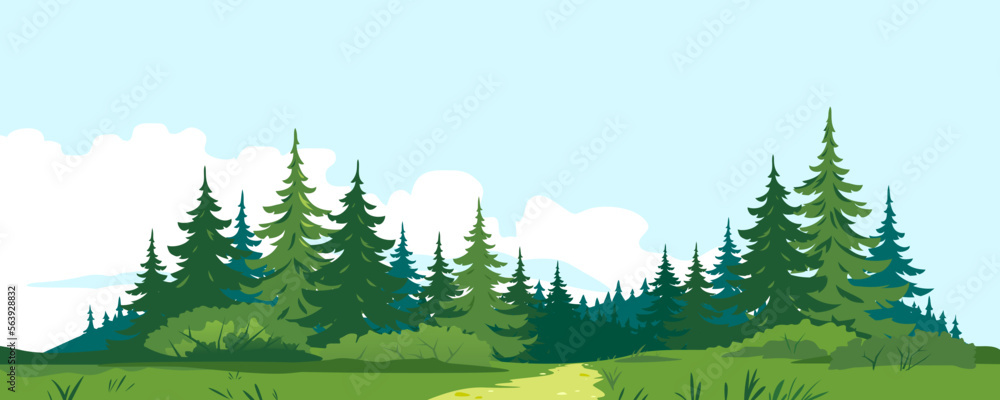 Fototapeta premium Path through the forest with big green spruce trees in front view, tourist route through the dense spruce forest and bushes in summer sunny day nature illustration background