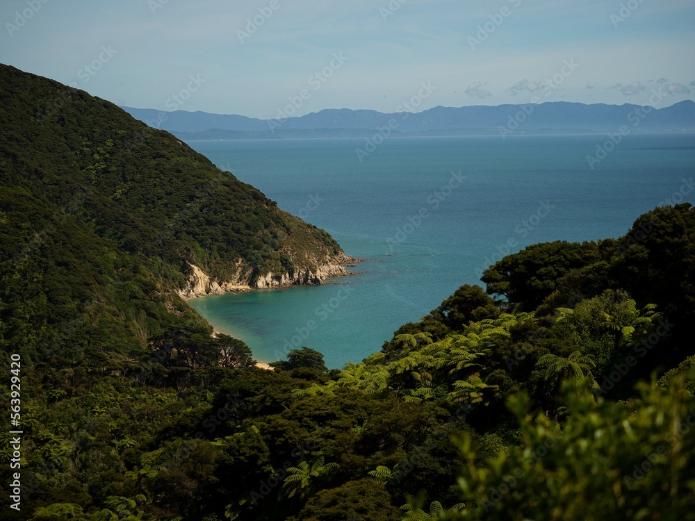 Elevated view of tropical pacific ocean beach surrounded by lush green nature in Abel Tasman National Park New Zealand