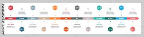 Hexagonal timeline infographic template design. Colourful 12 steps timeline vector business template.