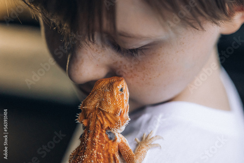 Slika na platnu Portrait of boy with Red bearded Agama iguana