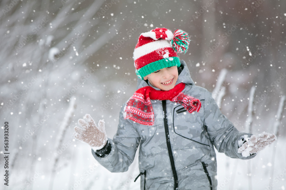 Child in winter in the forest. A little boy, a child in winter clothes, walking under the snow. Child in winter in the forest. A little boy, a child in winter clothes, walking under the snow.