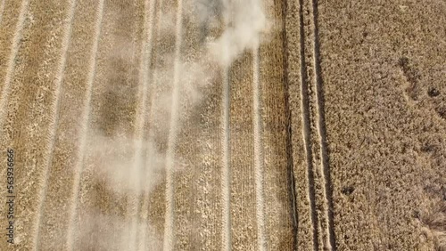 The combine harvester works in a wheat field. Propulsion. Top view. High quality FullHD footage