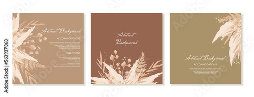 A set of boho-style square social media post templates with dried flowers and pampas in brown, olive shades in watercolour style. Vector photo