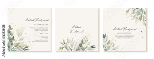 Set of square social media post templates in Rustic style with green leaves, eucalyptus and branches. Wedding invitation cards in watercolour contemporary style. Vector