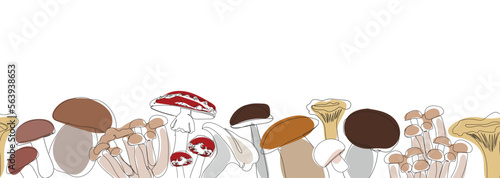 Seamless border different types of mushrooms in single continuous line drawing style. Sketch hand drawn illustration. Mushroom vector set in outline with colored elements.