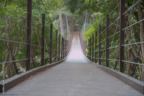 Fototapeta Naklejka Na Ścianę i Meble -  Suspension bridge in the woods