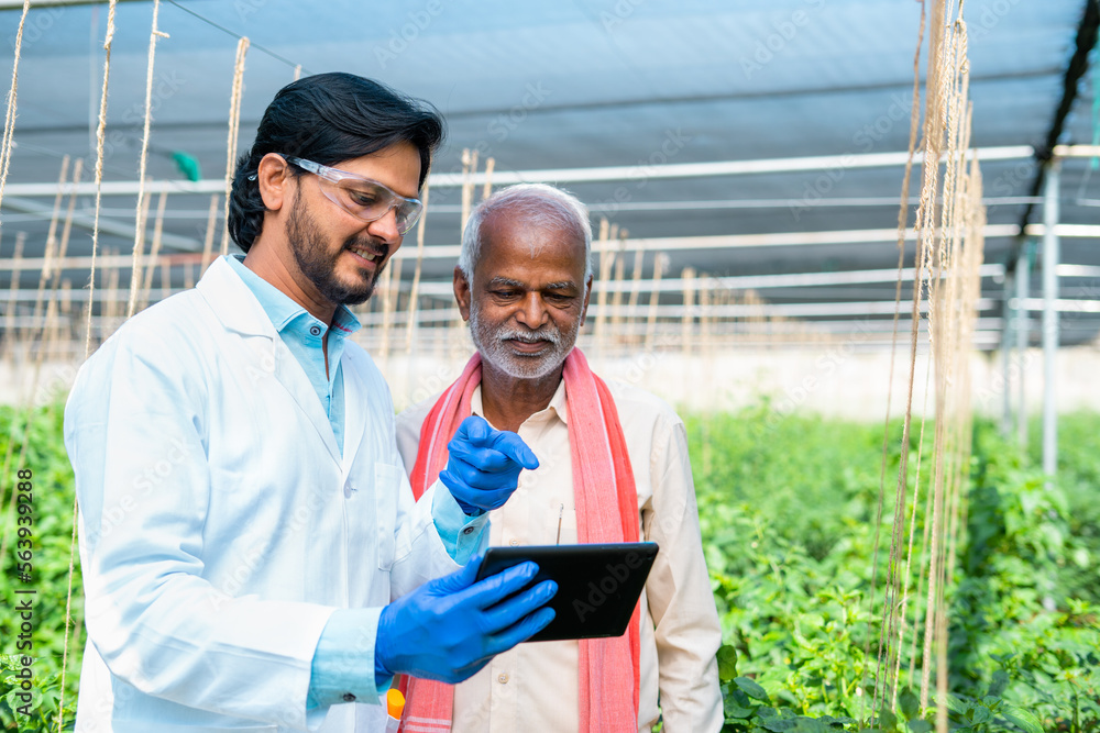 happy Agro scientist explaining crop growth from digital tablet to farmers while sitting at greenhouse - concept of modern farming, technology support and cooperation. happy Agro scientist explaining crop growth from digital tablet to farmers while sitting at greenhouse - concept of modern farming, technology support and cooperation.