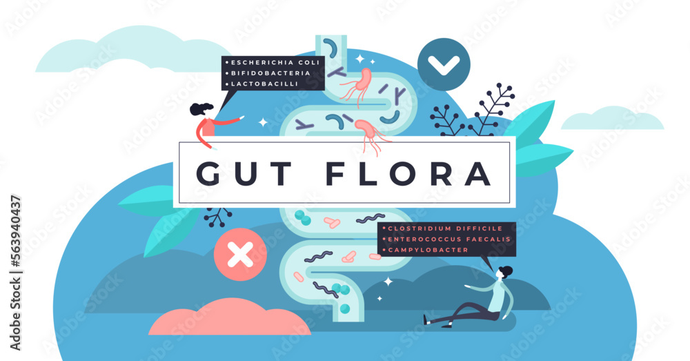 Gut flora illustration, transparent background.Flat tiny gastrointestinal microbe person concept.Abstract digestive stomach living organisms for healthy life.