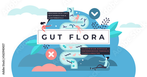 Gut flora illustration, transparent background.Flat tiny gastrointestinal microbe person concept.Abstract digestive stomach living organisms for healthy life.
