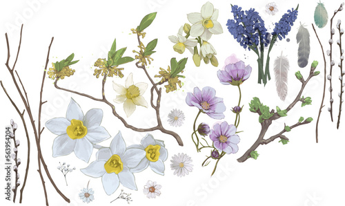 Set of Spring flowers, branches and feathers. Vector illustration, hand drawn, Isolated elements on white background. Floral watercolor sketches for your Herbal or Easter design. 