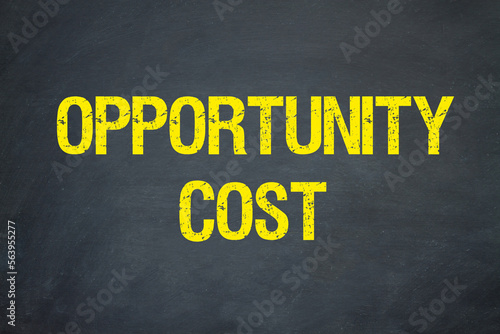 opportunity cost 