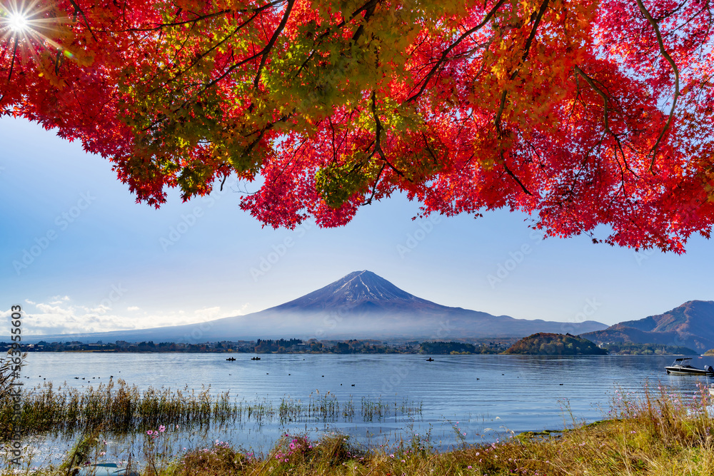 Naklejka premium 山梨県富士河口湖町 紅葉シーズンの河口湖