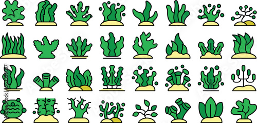 Algae icons set outline vector. Spirulina plant. Sea grass color line flat isolated on white