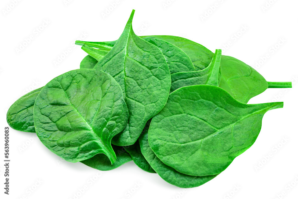 Pile of fresh green baby spinach leaves isolated on white background. Espinach Close up. Flat lay. Food concept. Pile of fresh green baby spinach leaves isolated on white background. Espinach Close up. Flat lay. Food concept.