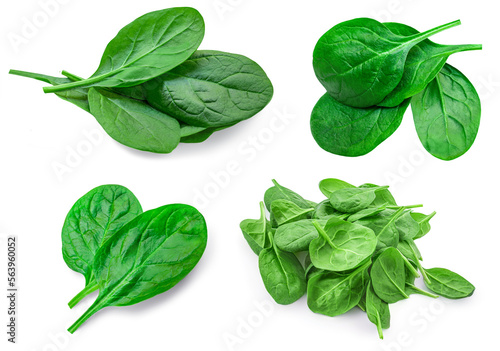 Fesh green baby spinach leaves isolated on white background. Espinach Set. Pattrn. Flat lay. Spinach Food concept.