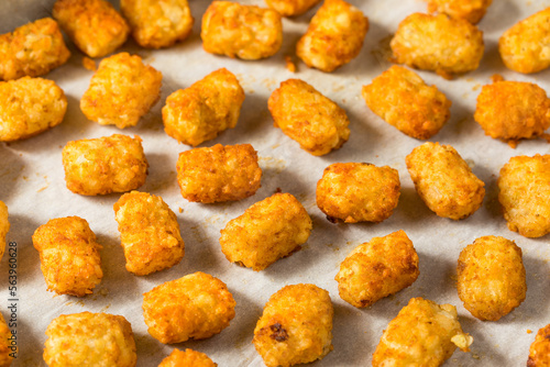 Homemade Baked Tater Tots Potatoes