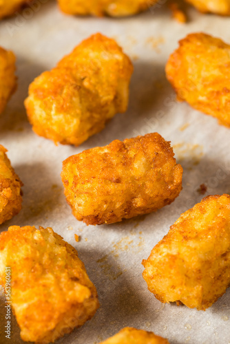 Obraz na plátně Homemade Baked Tater Tots Potatoes