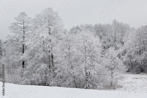 20.01.2023 Jasiów . Wiejski zimowy krajobraz  © malekimage