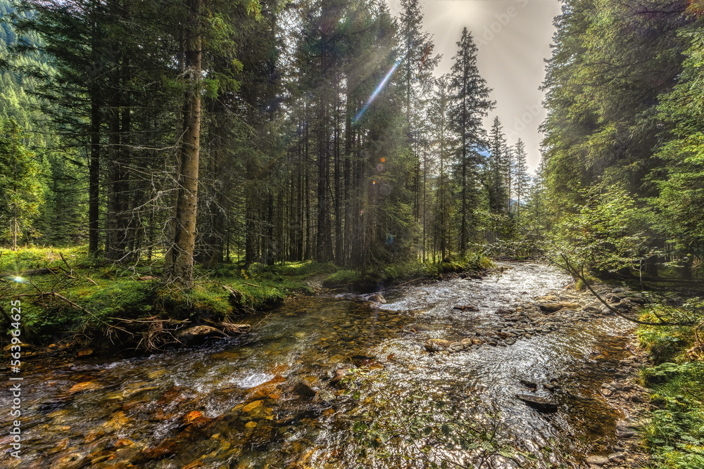Fototapeta premium creek in the woods, Lake Etrachsee, Styria, Austria
